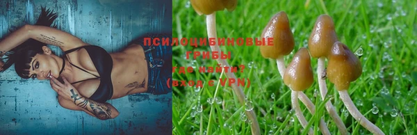 jwh Куйбышев