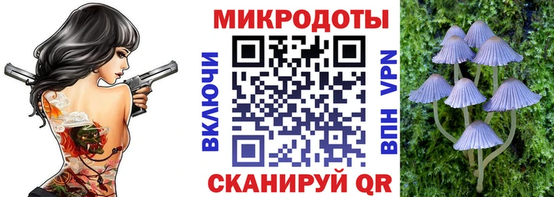 Галлюциногенные грибы прущие грибы  Новотитаровская 